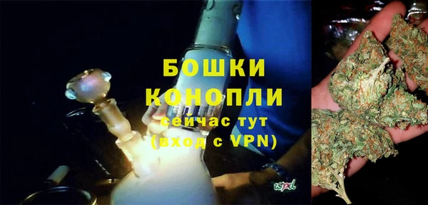 гидра Касимов