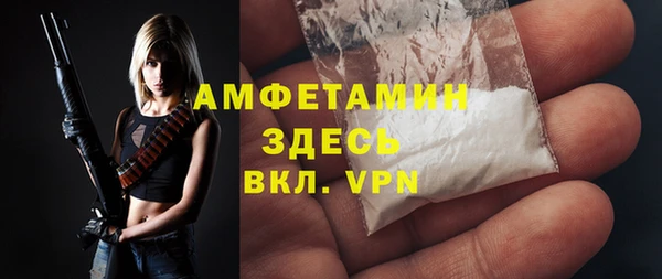гидра Касимов