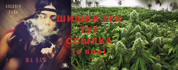 гидра Касимов