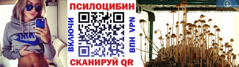 Галлюциногенные грибы MAGIC MUSHROOMS  Купить закладки  Ясногорск 